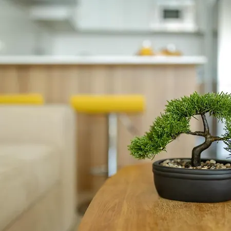 Levante Sunset Luxury Don Miguel Daire